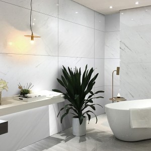 Arsiton White Marble