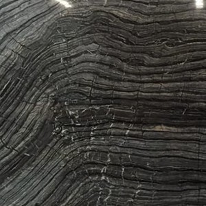 Madera antigua